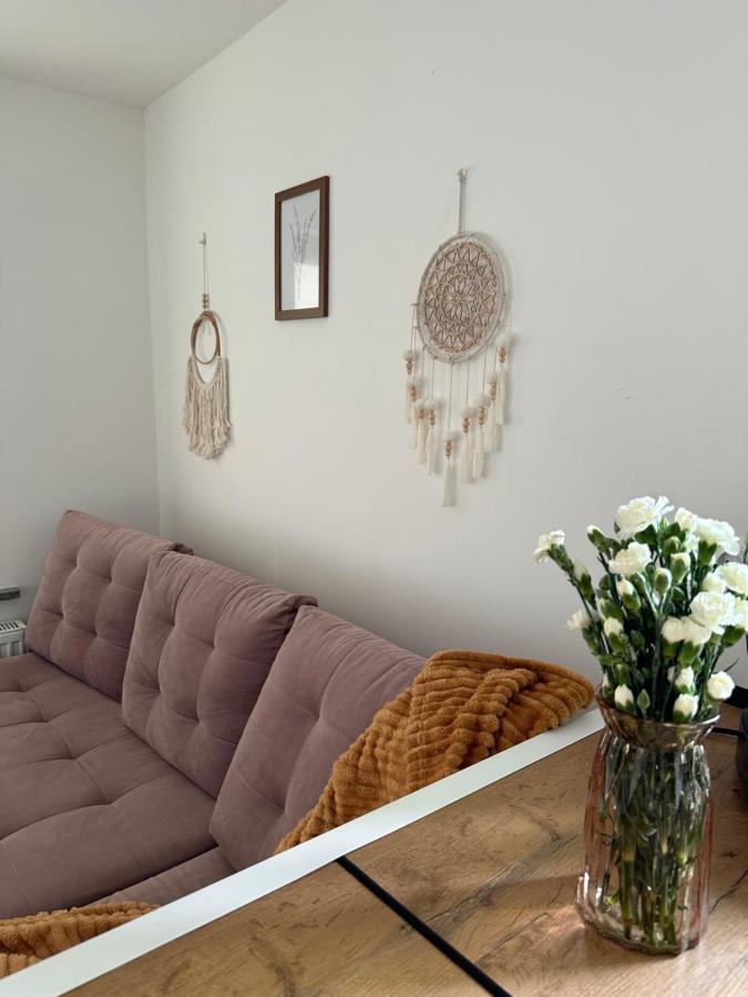 Mr. Sowa Sokolec Apartment Ludwikowice Klodzkie ภายนอก รูปภาพ