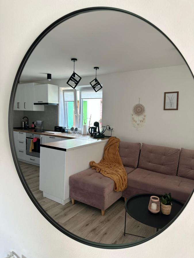 Mr. Sowa Sokolec Apartment Ludwikowice Klodzkie ภายนอก รูปภาพ